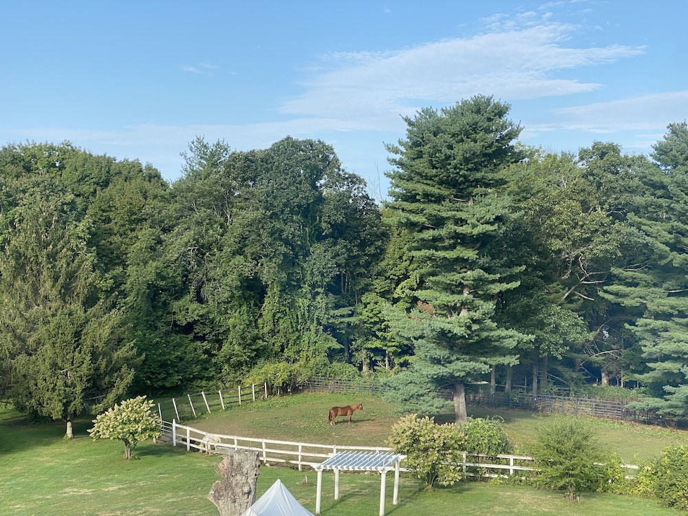 The Inn on the Horse Farm - photo 6