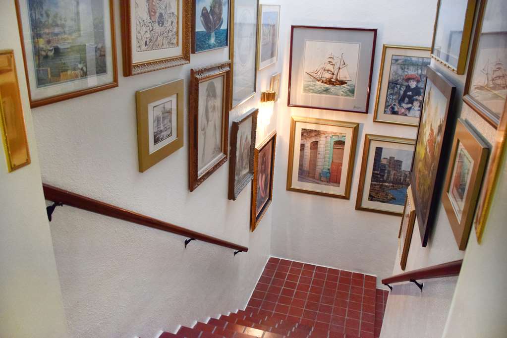 Beach Park Hotel - photo 18