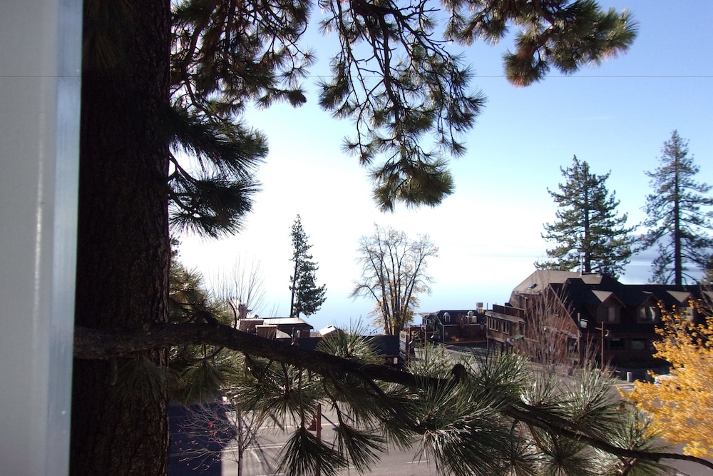 Pepper Tree Inn - photo 32
