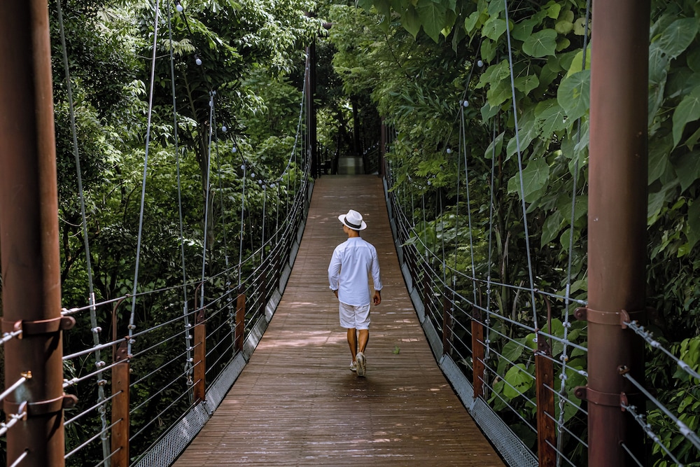 סיורים ופעילויות