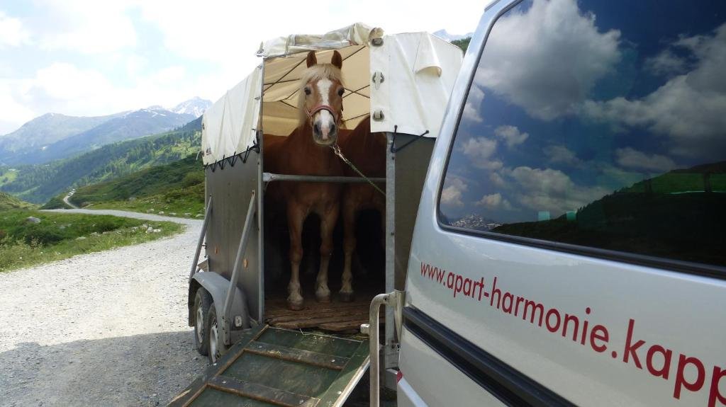 Apart Harmonie — 4-Star Luxury Hotel in Kappl, Austria