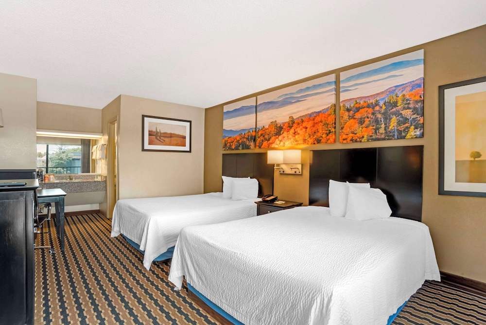Quality Inn near Speedway - photo 7
