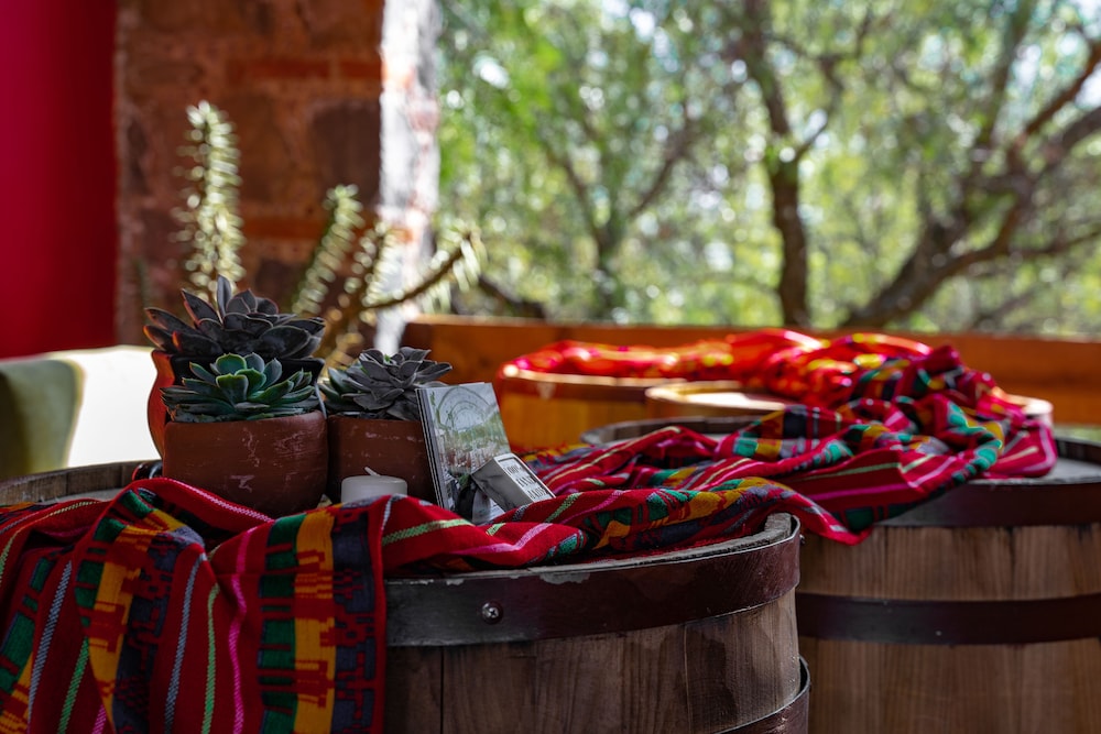 Raices Glamping - last minute hotel in Soyaniquilpan