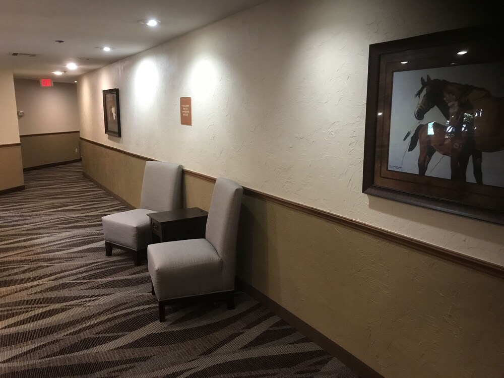 Best Western Plus Saddleback Inn & Conference Center - photo 48