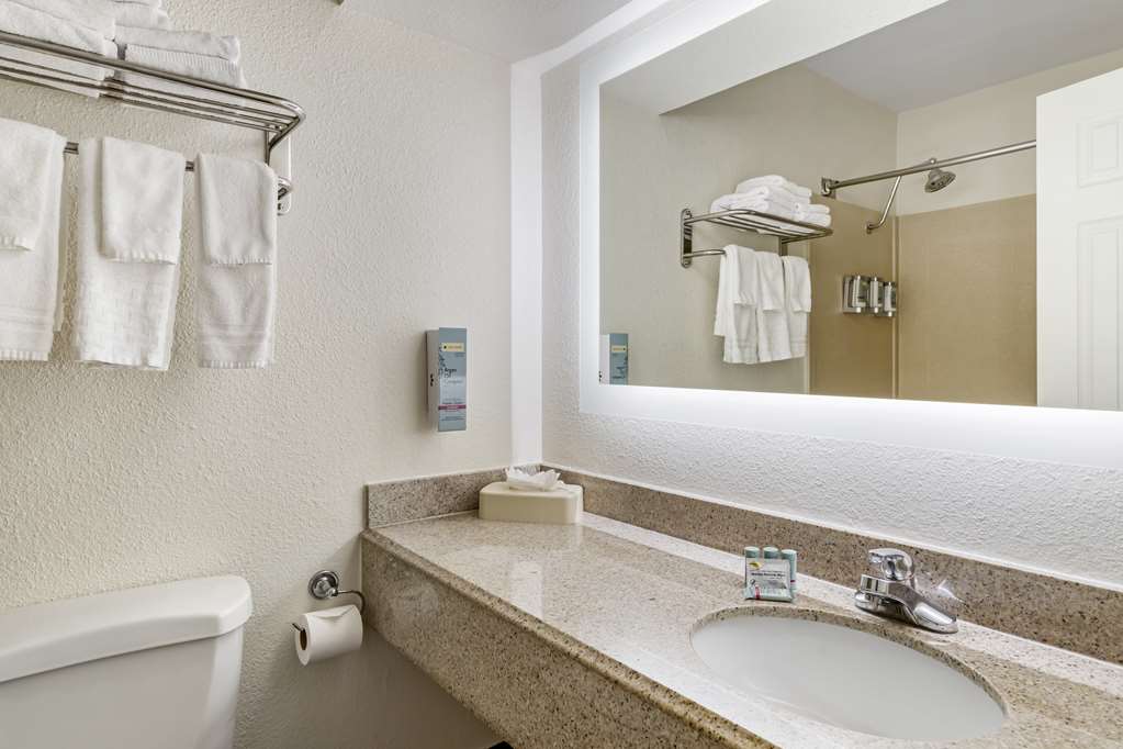 Best Western Of Alexandria Inn & Suites & Conference Center - photo 21