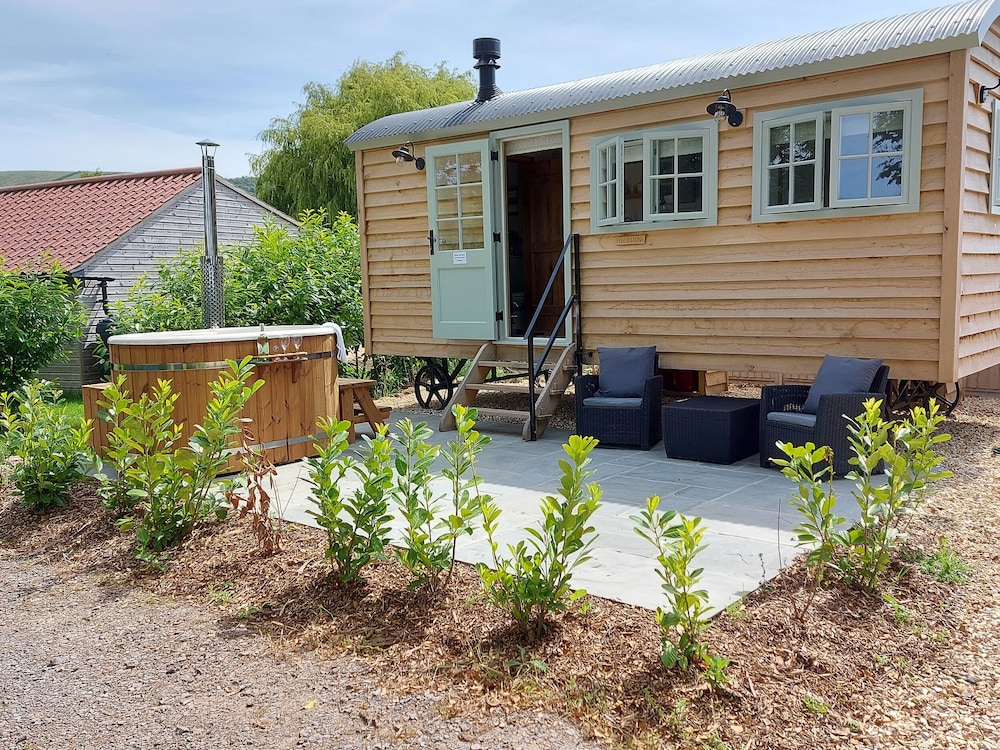 Acorn in Weston-Super-Mare, United Kingdom