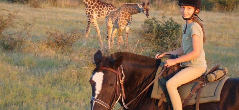 Ant’s Nest in Lephalale, South Africa
