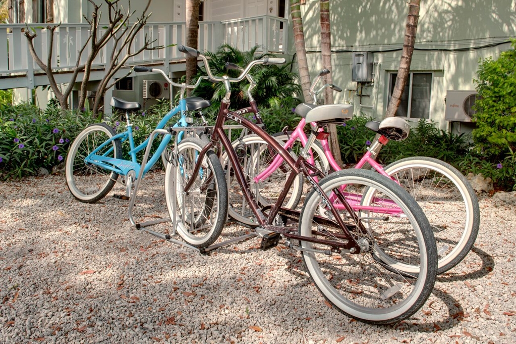 Coconut Palm Inn - photo 52