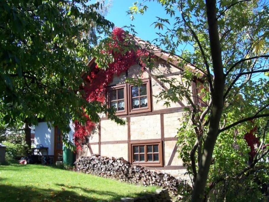 Ferienhaus Harz - carbon neutral hotel in Thale