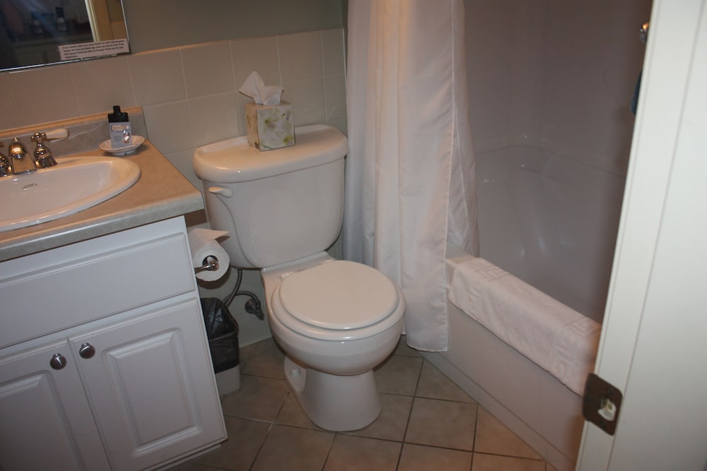 The Towne Motel - photo 63