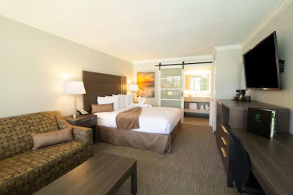 Palm Garden Hotel - photo 9