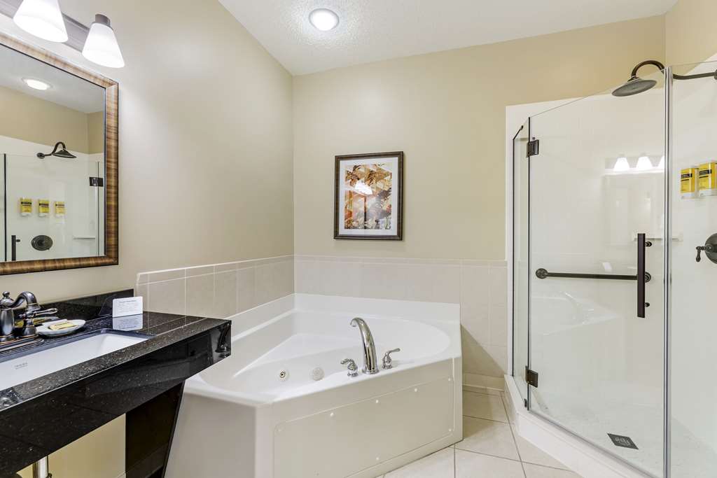 Best Western Plus Dutch Haus Inn and Suites - photo 38