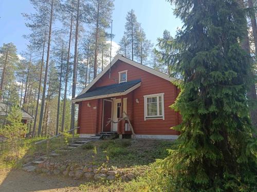 Kulkuri in Unknown City, Finland