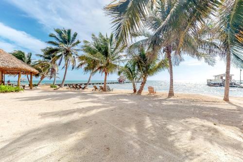 Zinnia @ Caribe Island — 4-Star Luxury Hotel in San Pedro, Belize