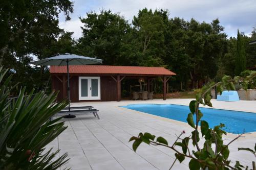 Casa Toupeira — Arganil — photo 5