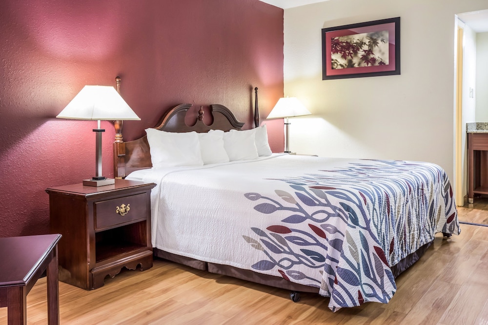 Red Roof Inn Caryville - photo 10
