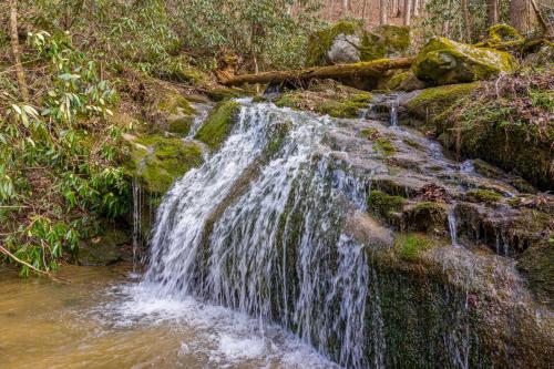 Waterfall Woods Lodge 4 br 5 bath property including tiny house suite private waterfallcreek — 4-Star Luxury Hotel in Sevierville, United States