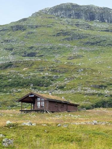Wild Norwegian Nature Between Preikestolen Trolltunga — Sauda