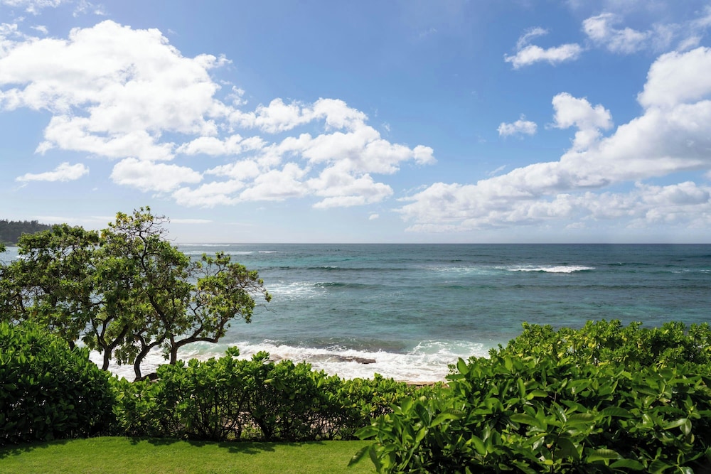 The Ritz Carlton O ahu Turtle Bay - photo 39