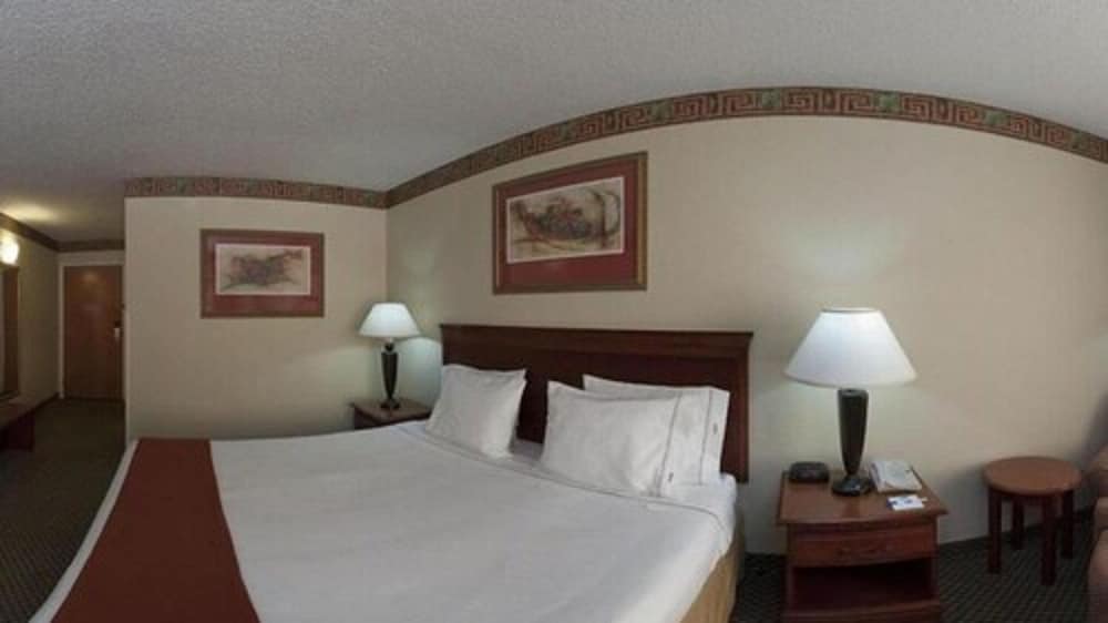 Holiday Inn Express & Suites Forest by IHG - photo 7