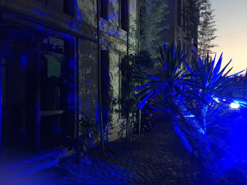 Aparthotel Sofia in Gonio