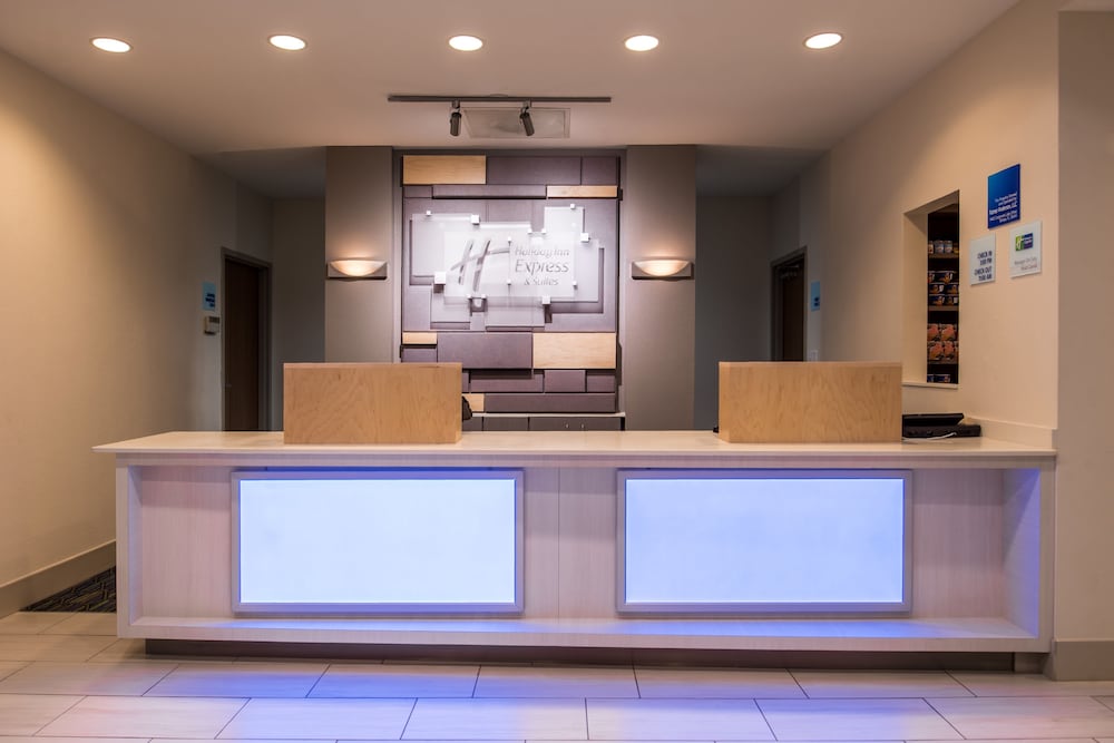 Holiday Inn Express Hotel & Suites Tampa Anderson Rd Veteran by IHG - photo 3