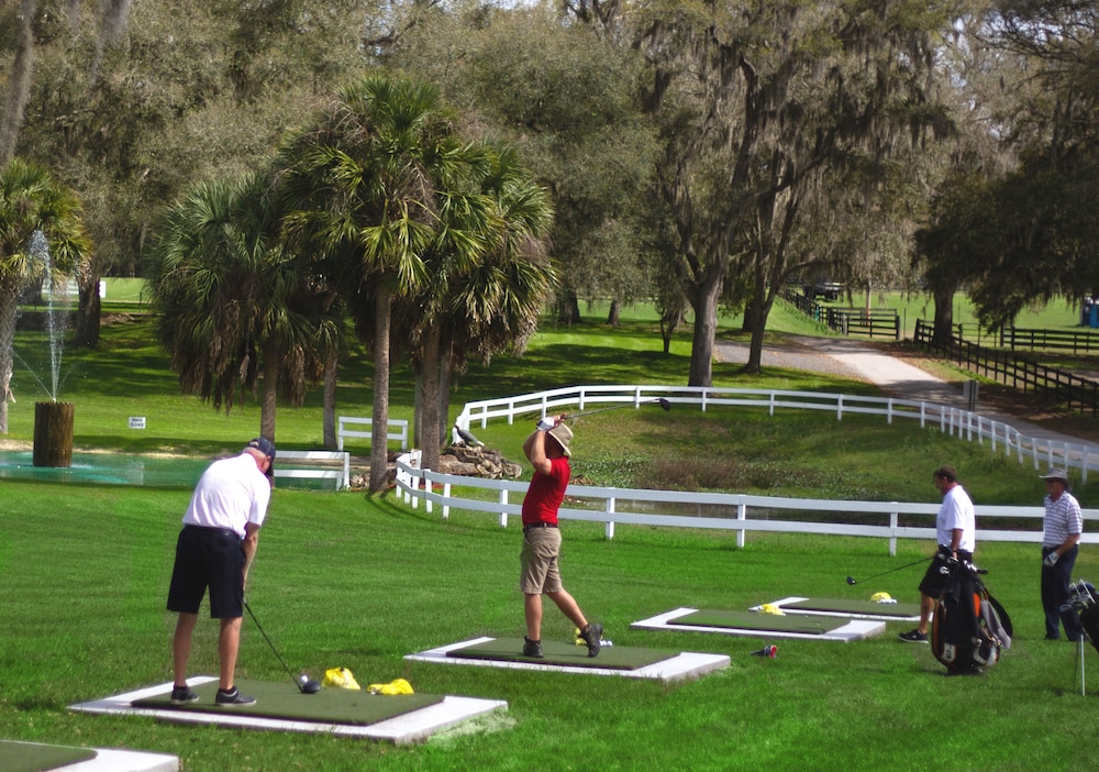 The Grand Oaks Resort - photo 142