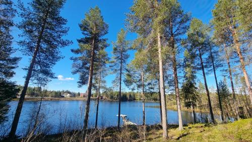 Blockhaus am See — Arvidsjaur — photo 2