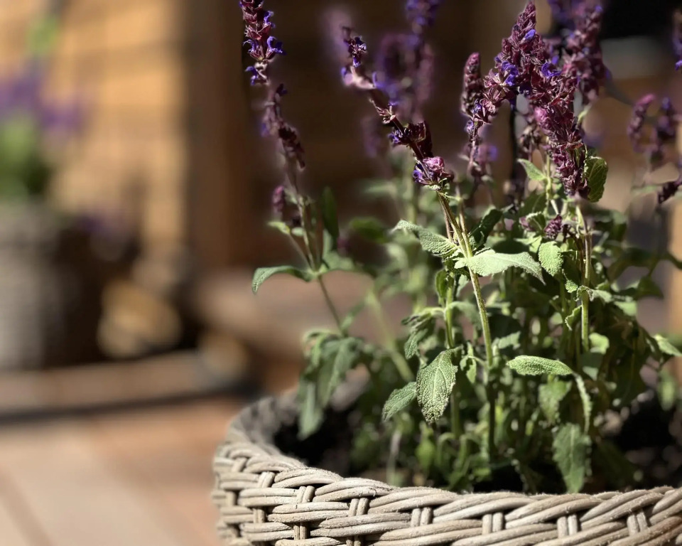 Yantar Glamping - last minute hotel in Unknown City