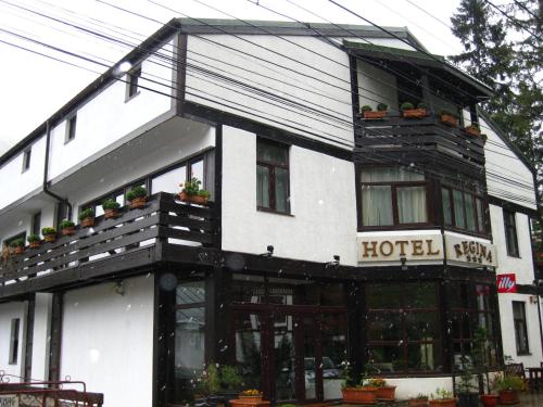 Hotel Regina — hotel in Sinaia
