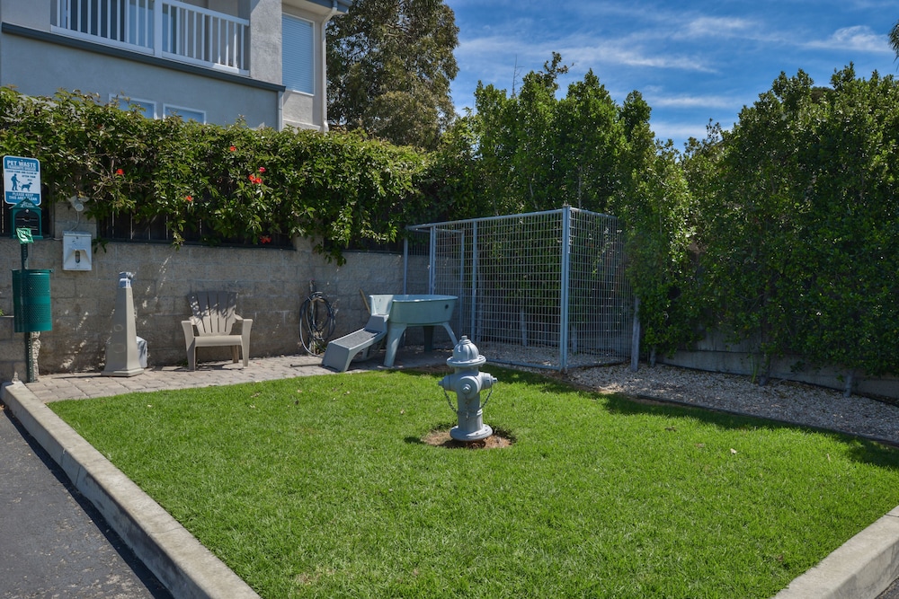 Cayucos Beach Inn - photo 23