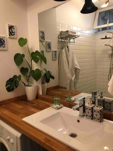 Matisse apartment in old Tbilisi