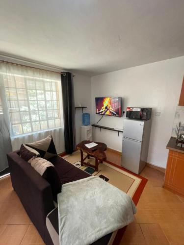 Kiluu Homes TRM Drive Roysambu Thika Road
