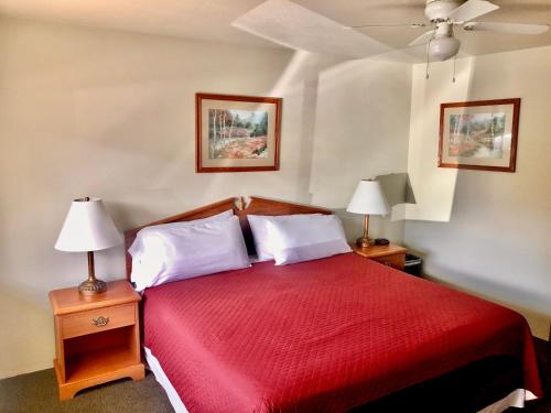 Hiouchi Motel - photo 6