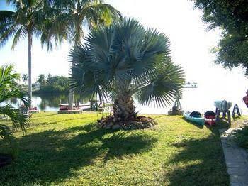 Knolls Court Motel - photo 2