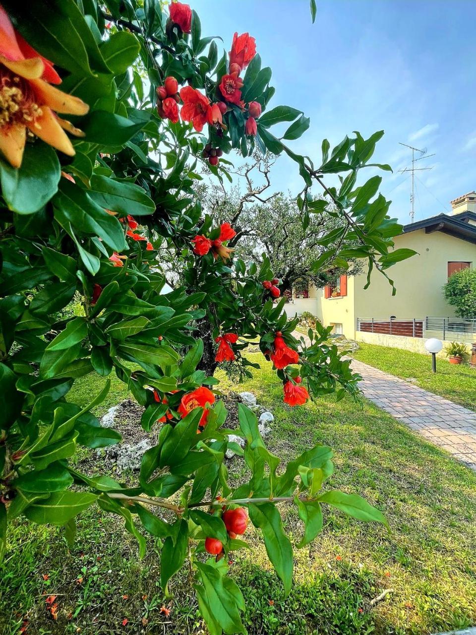Villa Ama — Pordenone — photo 4