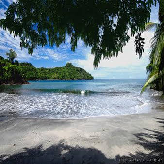 Buena Vista Luxury Villa