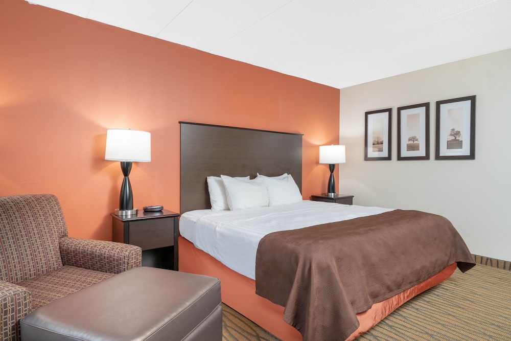 Aspen Hotel Rogers - photo 7