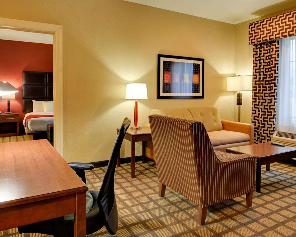 Comfort Inn & Suites Fort Smith I 540 - photo 50