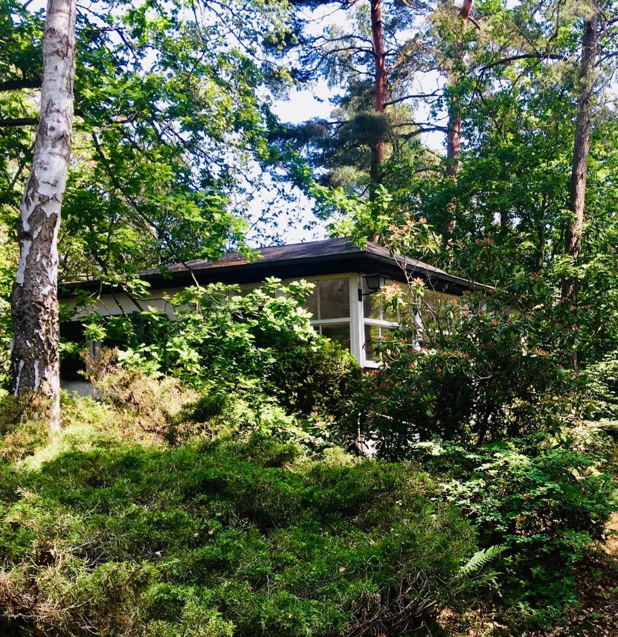Waldhaus Am Meer — hotel in Lubmin
