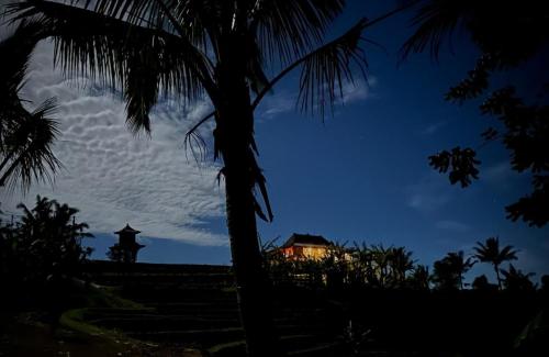 Rumah Pacung — Unknown City — photo 2