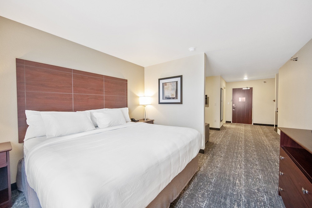Cobblestone Hotel & Suites Austin - photo 18