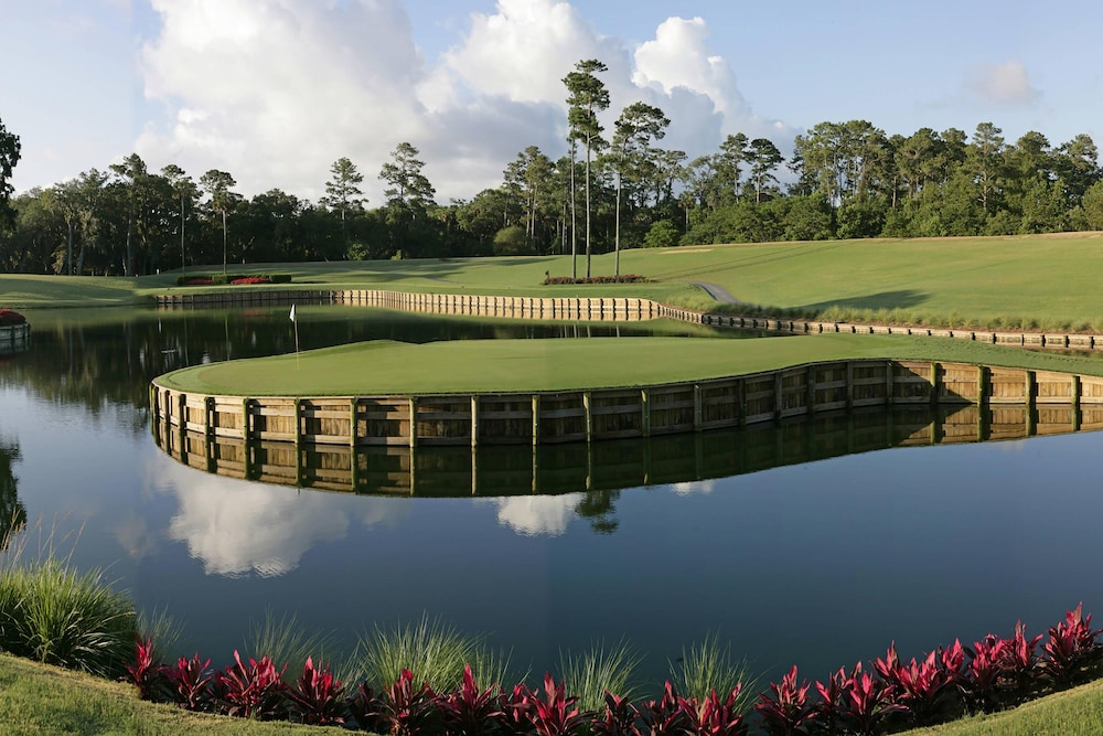 Sawgrass Marriott Golf Resort & Spa - photo 88