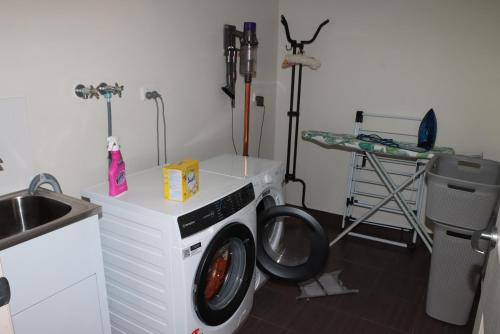 Eleven on Henry Holiday Guest Suite — North Ward — photo 5
