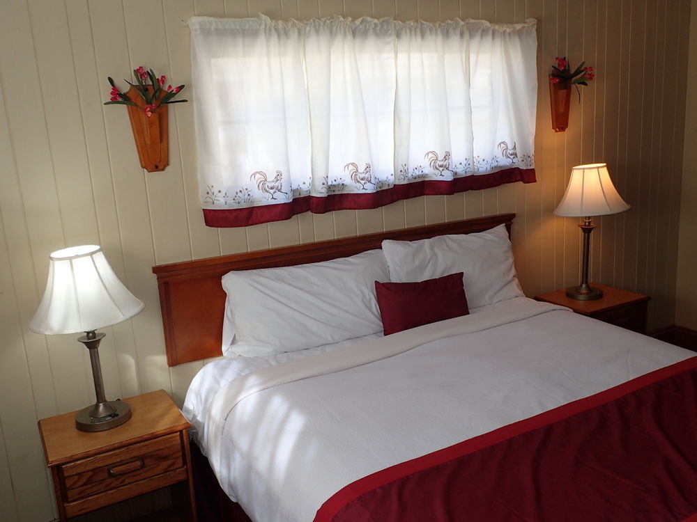 Economy Inn & Suites Gatlinburg - photo 7