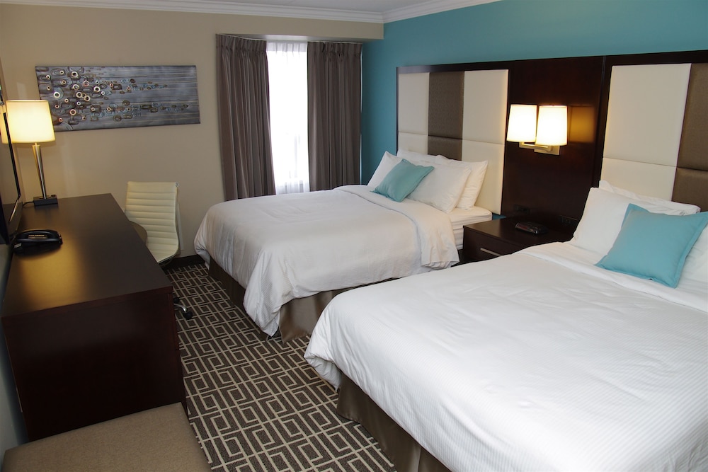 Visitors Inn - carbon neutral hotel in Hamilton