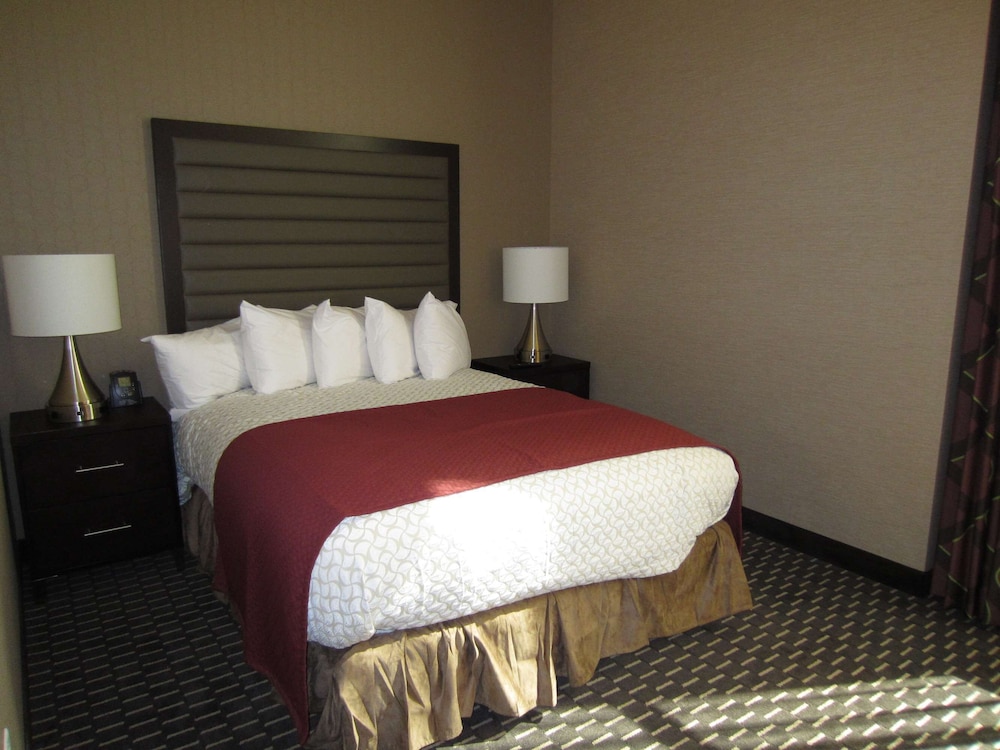 Embassy Suites by Hilton St. Louis Downtown - photo 6