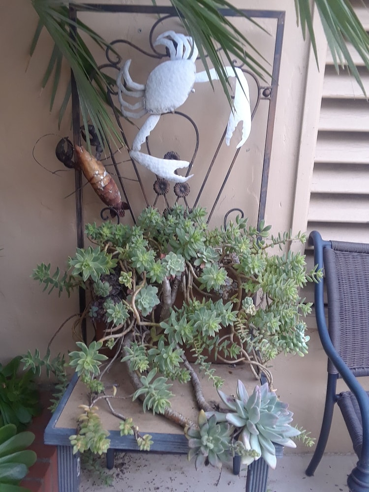 Los Gatos Garden Inn Hotel - photo 42