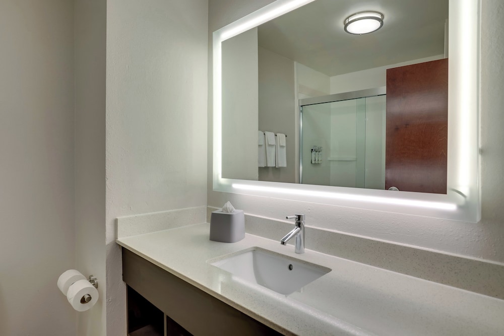 Holiday Inn Express Hotel & Suites Gadsden W Near Attalla by IHG - photo 22
