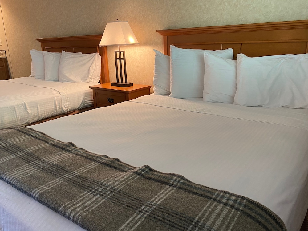 Cousins Country Inn - photo 5